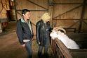 b - A la ferme (10)